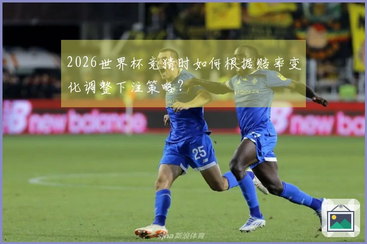 2026世界杯竞猜时如何根据赔率变化调整下注策略？