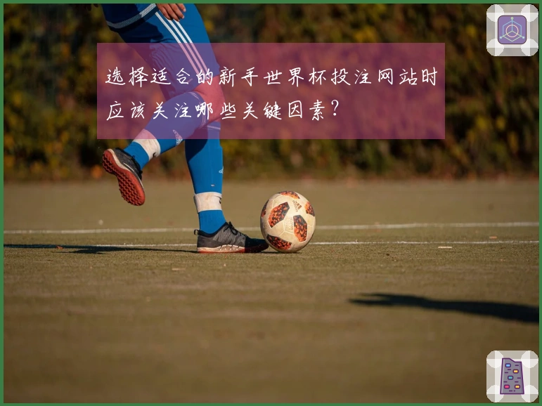 选择适合的新手世界杯投注网站时应该关注哪些关键因素？