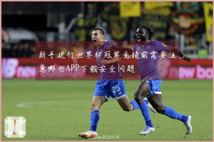 新手进行世界杯冠军竞猜前需要注意哪些APP下载安全问题