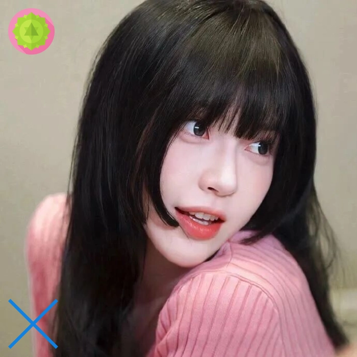 吴晨会员
